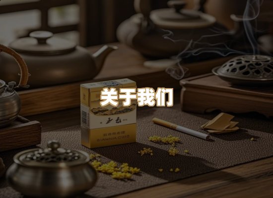 关于蓝帝网